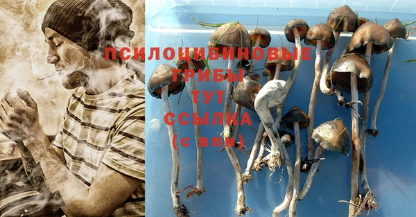 спиды Вязники