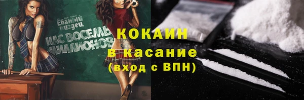 прущие грибы Вяземский