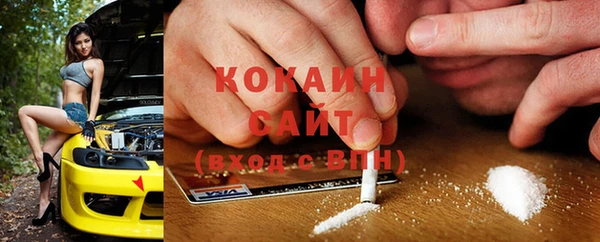 прущие грибы Вяземский