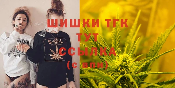 прущие грибы Вяземский