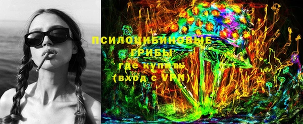 прущие грибы Вяземский
