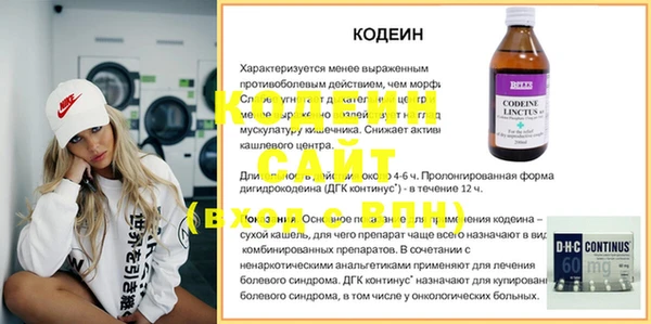 прущие грибы Вяземский