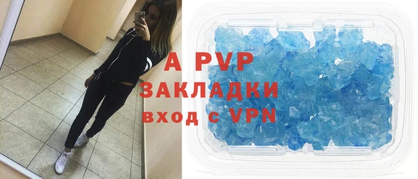 прущие грибы Вяземский
