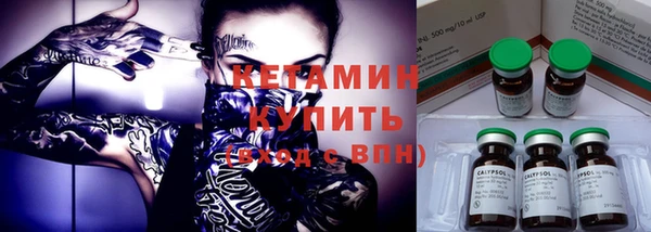 прущие грибы Вяземский