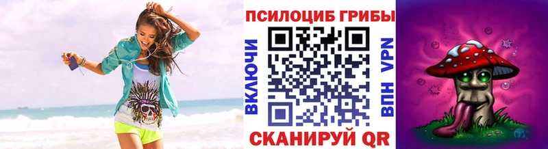 Псилоцибиновые грибы Cubensis  Елец 